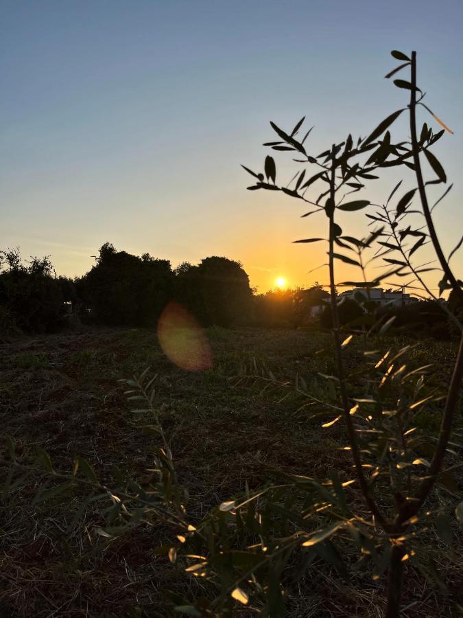 Trullo Liliana Villa Alberobello Dış mekan fotoğraf